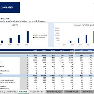 CR + Balance + Flujos de caja