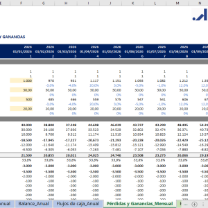 CR + Balance + Flujos de caja_Mensualizado