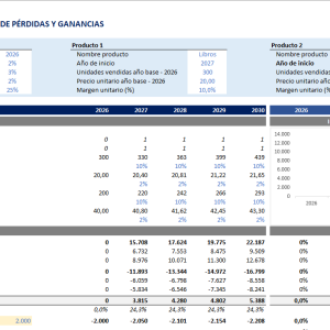 Income Statement + Dashboard
